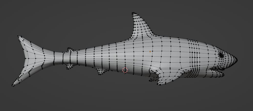 Shark preview image 2
